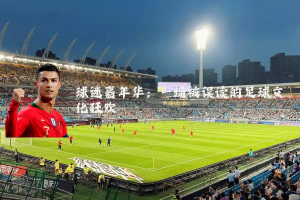 球迷嘉年华:一场被误读的足球文化狂欢